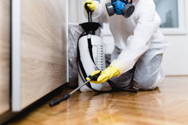 Best Cockroach Control Services  in Youngsville, NC