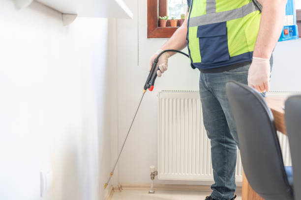 Best Flea Control Services  in Youngsville, NC