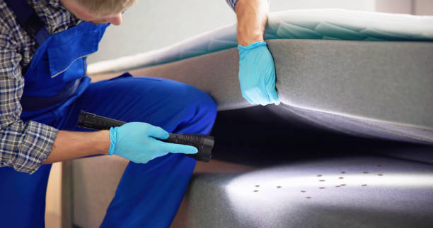 Best Wasp Removal Services  in Youngsville, NC