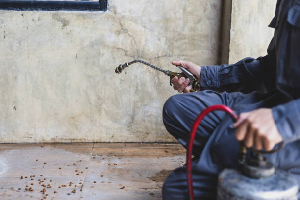 Reliable Youngsville, NC Pest Control Solutions