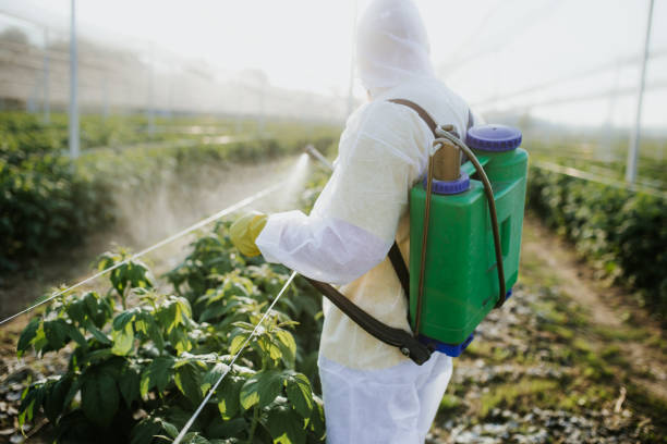 Youngsville, NC Pest Control Company